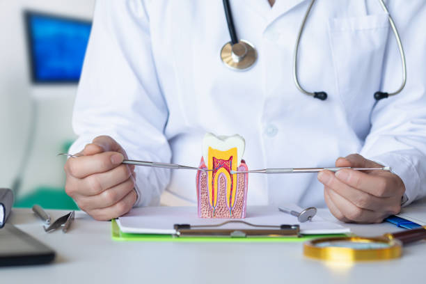 Best Emergency TMJ Treatment in Penn Farms, PA
